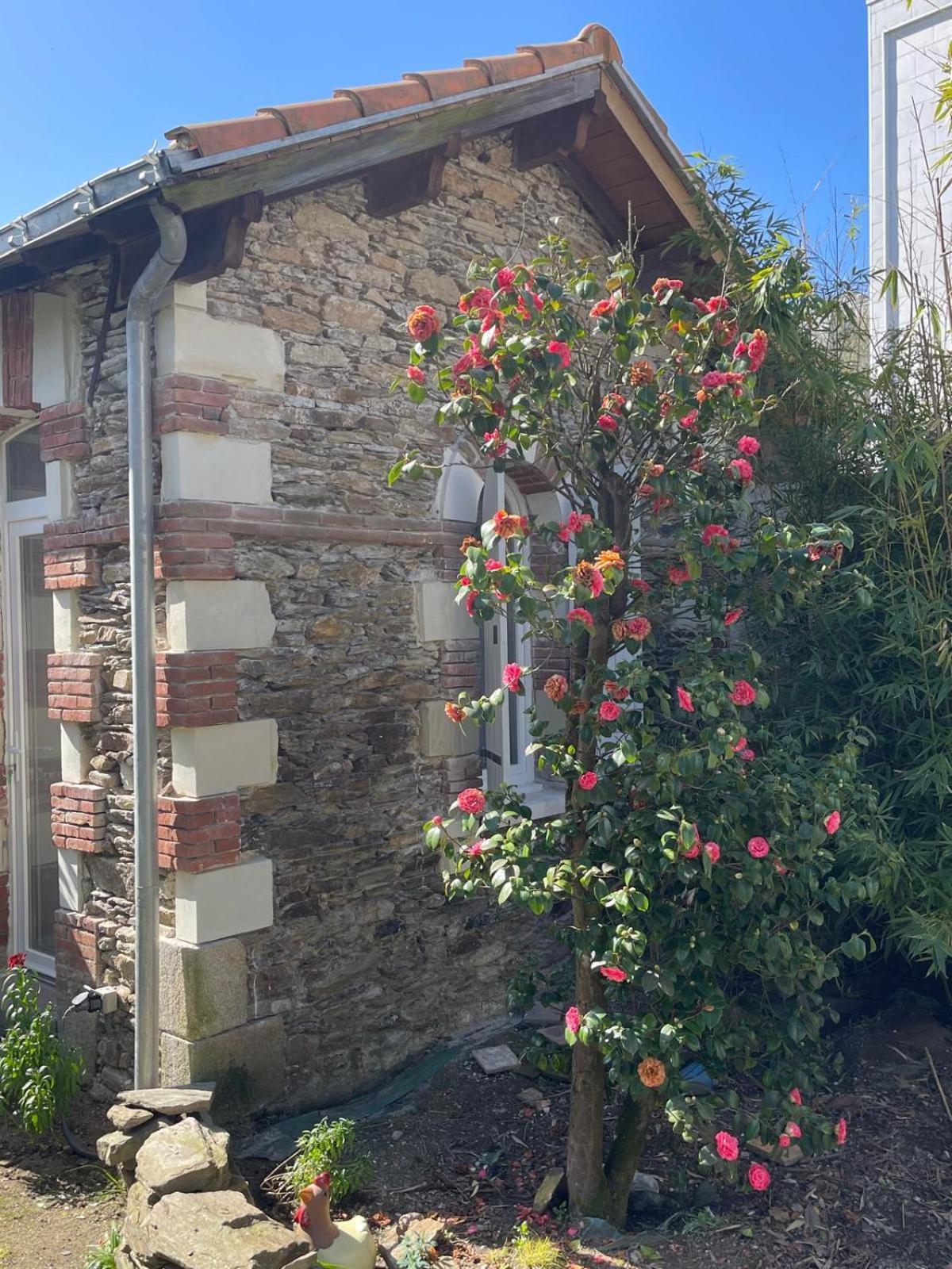 Logement Entier - La Laiterie De La Plume Нант Екстер'єр фото